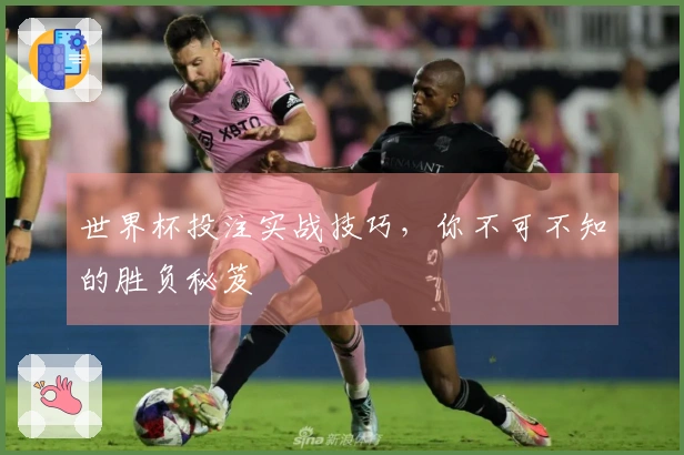 世界杯投注实战技巧，你不可不知的胜负秘笈