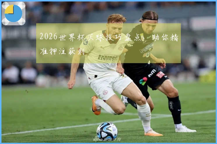 2026世界杯买球技巧盘点，助你精准押注获利