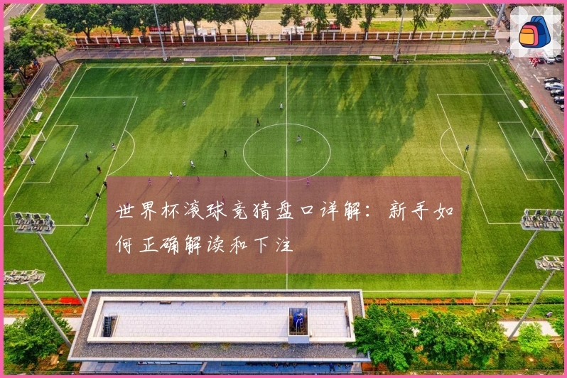 世界杯滚球竞猜盘口详解：新手如何正确解读和下注