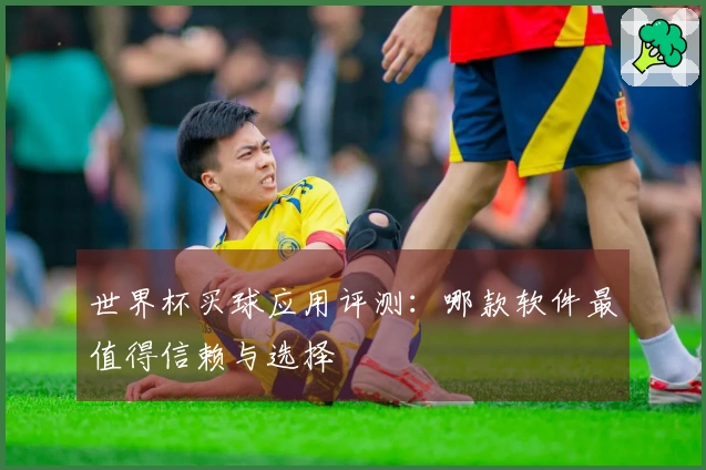 世界杯买球应用评测：哪款软件最值得信赖与选择