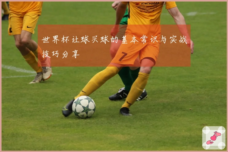 世界杯让球买球的基本常识与实战技巧分享