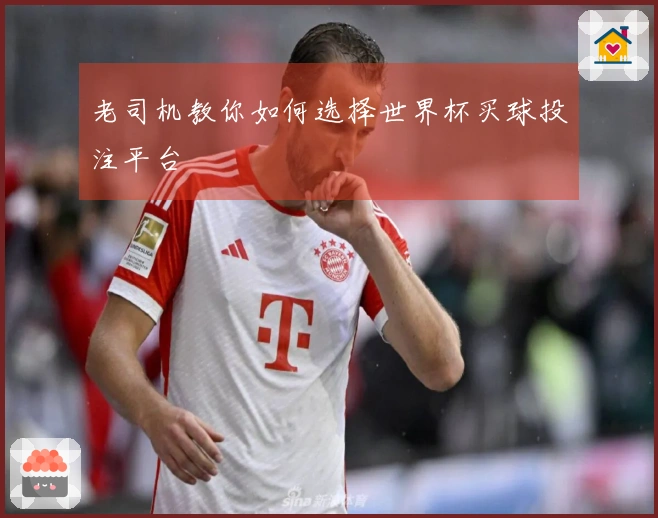 老司机教你如何选择世界杯买球投注平台