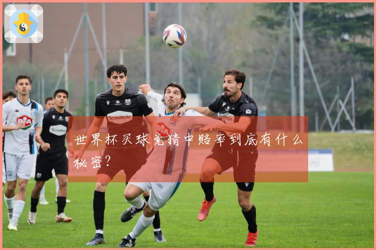 世界杯买球竞猜中赔率到底有什么秘密？