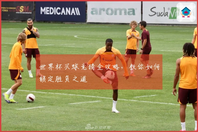 世界杯买球竞猜全攻略，教你如何锁定胜负之道