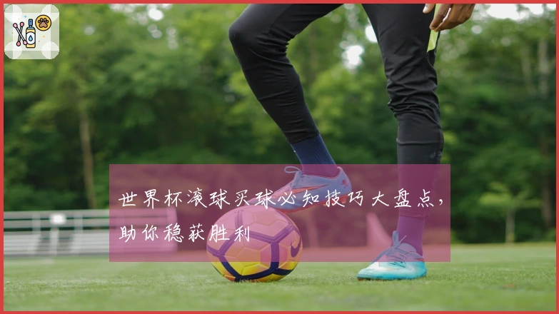 世界杯滚球买球必知技巧大盘点，助你稳获胜利