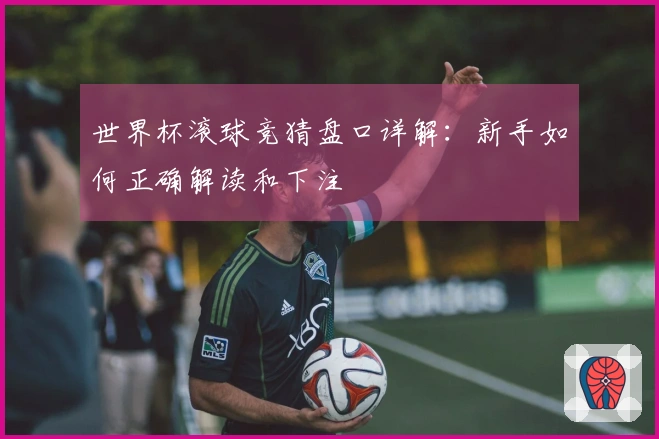 世界杯滚球竞猜盘口详解：新手如何正确解读和下注