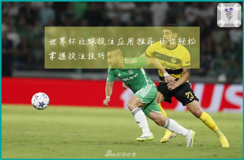 世界杯让球投注应用推荐 让你轻松掌握投注技巧