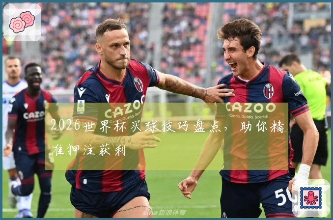 2026世界杯买球技巧盘点，助你精准押注获利