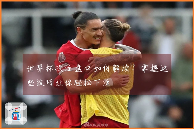 世界杯投注盘口如何解读？掌握这些技巧让你轻松下注