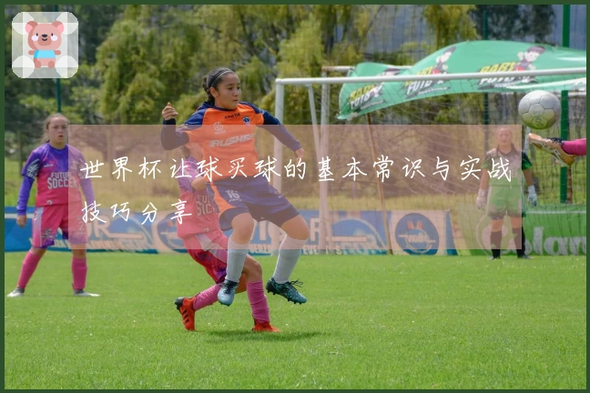 世界杯让球买球的基本常识与实战技巧分享